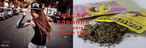крисы Бородино