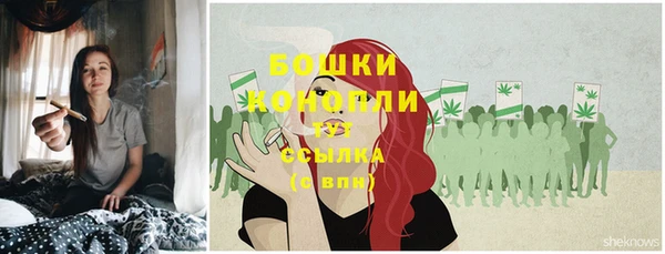крисы Бородино
