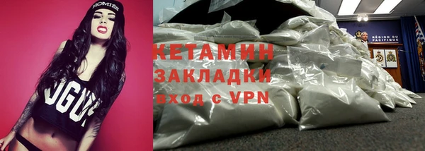 крисы Бородино