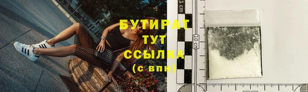 крисы Бородино