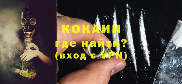 крисы Бородино