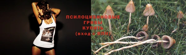 spice Бронницы