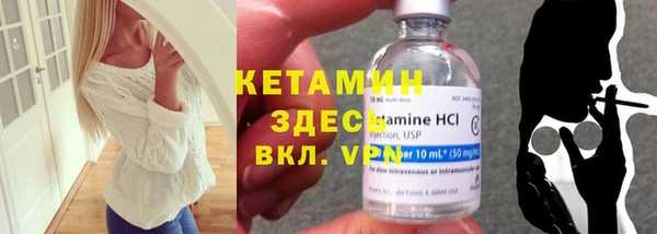 крисы Бородино