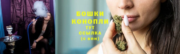 крисы Бородино