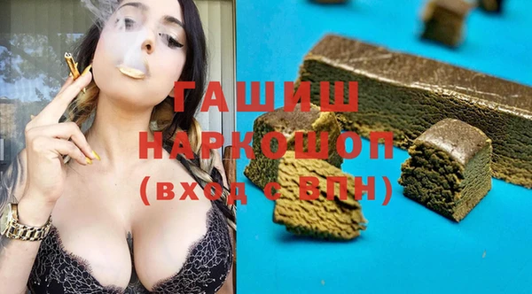 крисы Бородино
