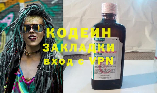 крисы Бородино