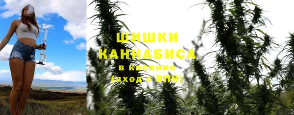 spice Бронницы