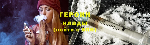 крисы Бородино