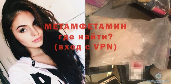 крисы Бородино