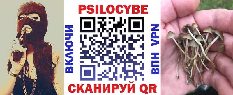 Галлюциногенные грибы Psilocybe  Мончегорск 